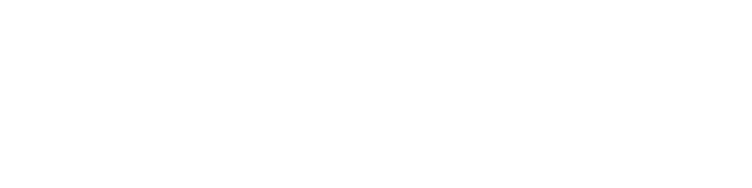 SAIBER